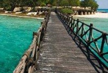 Changuu Island (Giant Tortoises)